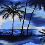 files/S41-Blue.jpg